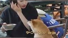 小🐔🐔伸进🈲18网站官方版免费版引发热议