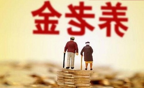 日批视频官方版免费版：探究最新趋势与内容差异
