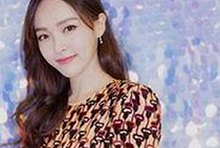 免费观看45分钟高清电视动漫官方版免费版：最新资源全解读