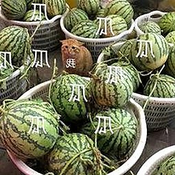 揭秘高清🈚码🔞❌♋免91官方版：稳定资源带你畅享娱乐新体验