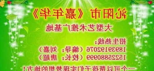 最新！91免费版免费版助你畅享高清动漫与成人内容