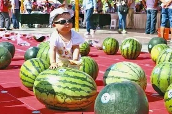 探索18馃埐免费版下载：满足你的在线视频观看需求