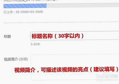 如何在徐州市快速获取菠萝TV官方版下载，并体验多样性内容