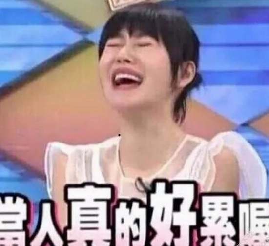 红桃视频免费版带你了解最新娱乐内容变化