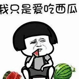 体验无限精彩：91小视频官方版下载免费版带你畅享多彩内容