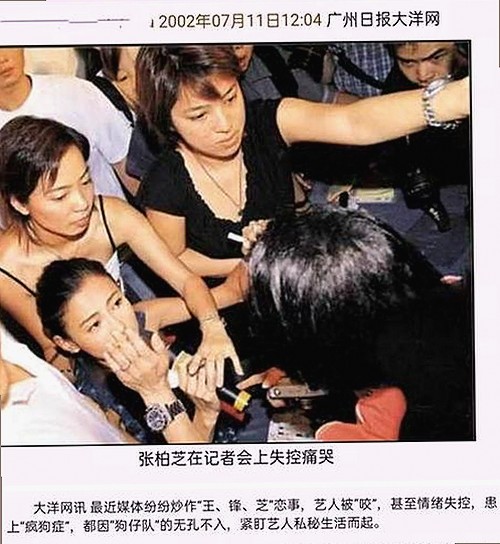 嫩草17.c 91官方版：新兴成人内容平台引发关注