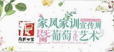 最新的91网站最新版下载，带你了解官方版与免费资源