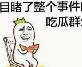 南充市最新免费观看45分钟高清电视动漫官方免费版介绍