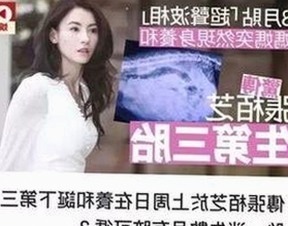 全面解析成品网站1688入口的代码体现免费版的实用价值与发展