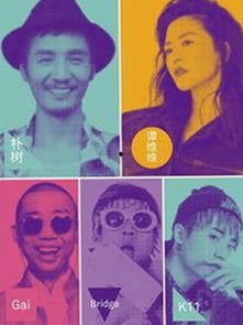 探索啪啪视频官方版背后的内容生态与用户体验
