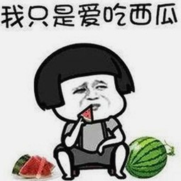 探索啪啪视频官方版背后的内容生态与用户体验