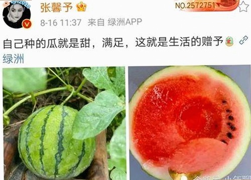 畅享A片免费版：最新资源全知道