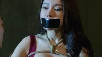 77777免费高清电视剧犯罪官方版：追踪最新动态与精彩内容对比