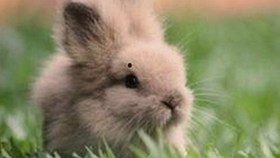 如何通过免费看mv大片的app官方版下载享受高品质娱乐体验