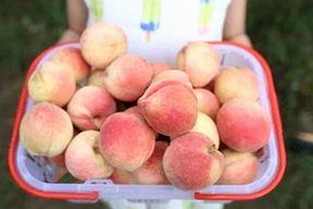 全面解析91网站安装包下载：从官方资源到趣味应用的演变