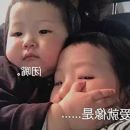 人动物高清免费观看普通话官方版：最新在线观看体验解析