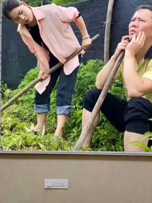关于 免费观看已满十八电视剧免费免费版 的全面解析