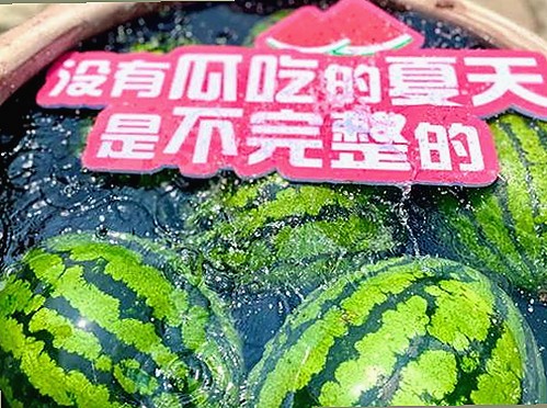 深入了解小巧🐥伸女生🍑🍑里姿势免费版官方版的使用与资源