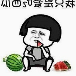 从娱乐到休闲：撸撸射最新版下载带来的全新体验