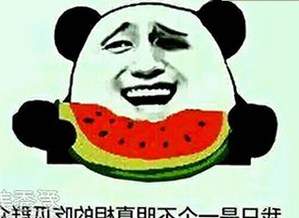 9.1免费视频免费版官方版下载：最新版本介绍与资源获取指南