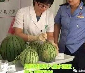 最新分析：黄色91官方免费版现状与未来发展