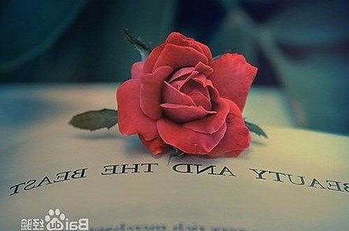 最新消息：菠萝视频官方版下载已全面更新，畅享高清娱乐体验