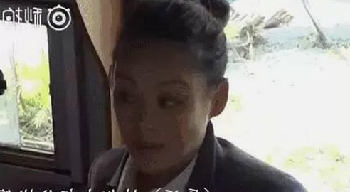 含羞草黄免费版下载现已开启，最新版本带来流畅体验