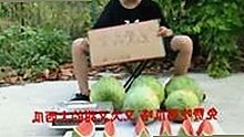 樱花视频官方版下载：了解最新版本及相关内容