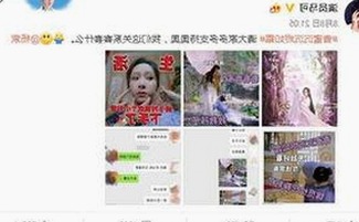 探索91破解版官方版：游戏体验与应用背景分析