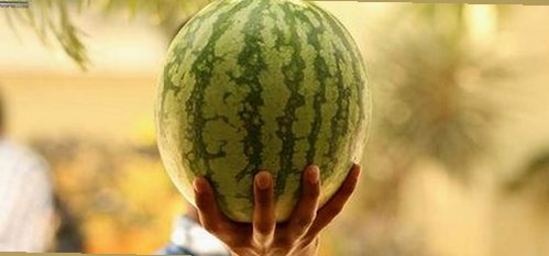 小🐔🐔伸进🈲🔞🔞免费版：网络内容的合法性与风险分析