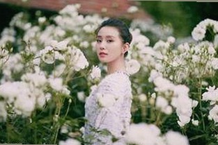 麻豆视频在线观看官方版正版下载：获取优质内容的最新途径