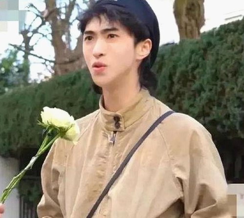 从丫丫漫画免费漫画页面看漫画下载的变化与发展
