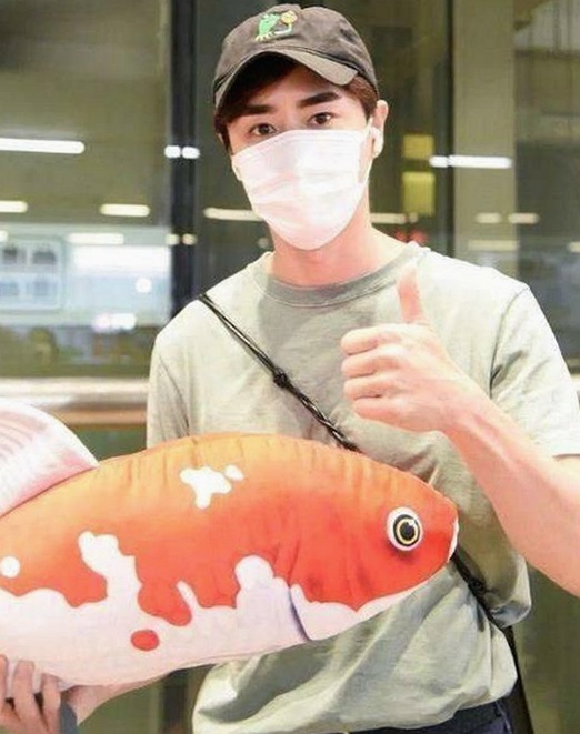 揭秘：免费调色60分钟视频官方版的现状与发展