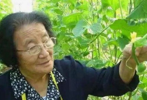 全面解析18❌❌❌有直套免费版官方版的最新动态