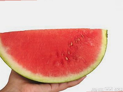 最新一版：91下载官方版免费版现已稳定上线，用户体验极佳