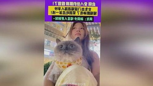 红桃影院免费观看电视剧电视剧高清免费版下载：最新资源全解析