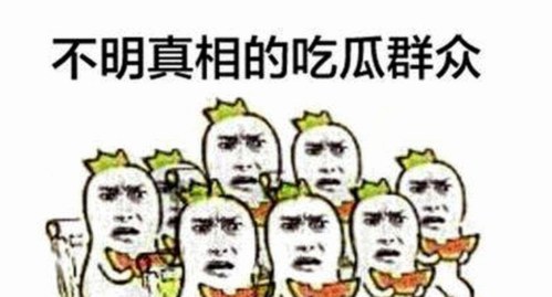 池州市探讨爱液视频免费版官方版的现状与发展