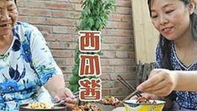 全面解析911行情电视观看高清版百度网盘官方版的优势与使用体验