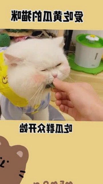 关于🔞🍌进🍑里❌❌❌面事件的层层解析