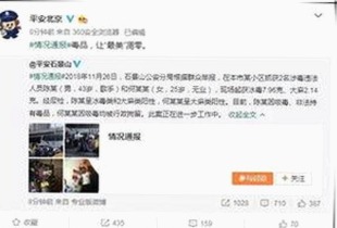 茄子视频带来多元内容新体验，持续引领国产视频潮流
