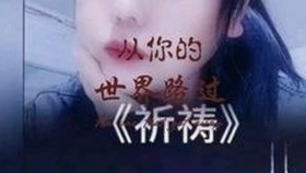大象回家永不迷路视频2023最新版：感人瞬间引发广泛关注