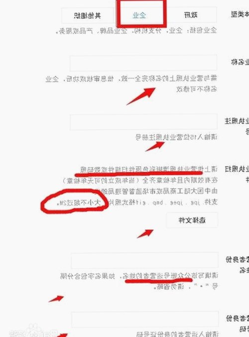 探寻经典动画《母をたずねて三千里官方版》的魅力与影响