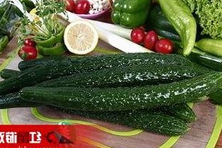 爱液官方网站免费版下载引发关注，内容现已全面升级