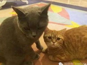 那曲市玩家热衷体验18+触摸互动游戏+黄油苹果免费版的最新动态