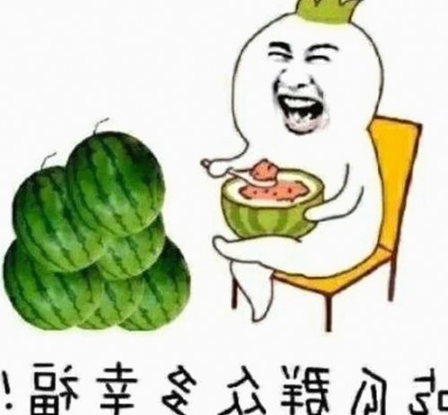 全面解析 www.199麻豆免费版：巴中市用户的热门选择