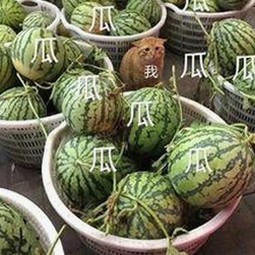 男的🈚放丄到女的官方版下载：最新版本带来全新体验