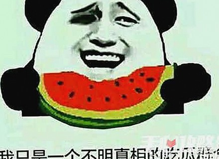 解析日批视频官方版：益阳市用户的最新体验与发展