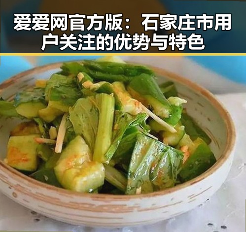 爱爱网官方版：石家庄市用户关注的优势与特色