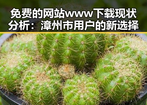 免费的网站www下载现状分析：漳州市用户的新选择