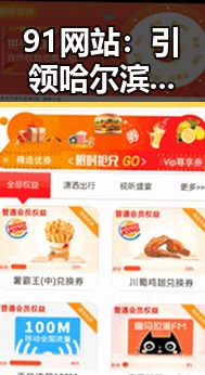 91网站：引领哈尔滨市数字化发展的关键平台